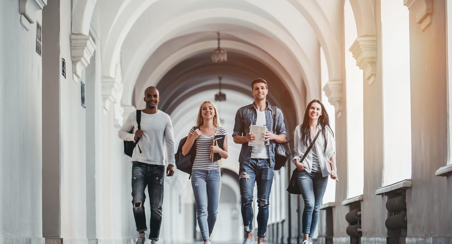 Which bachelor’s degree in geopolitics to choose?