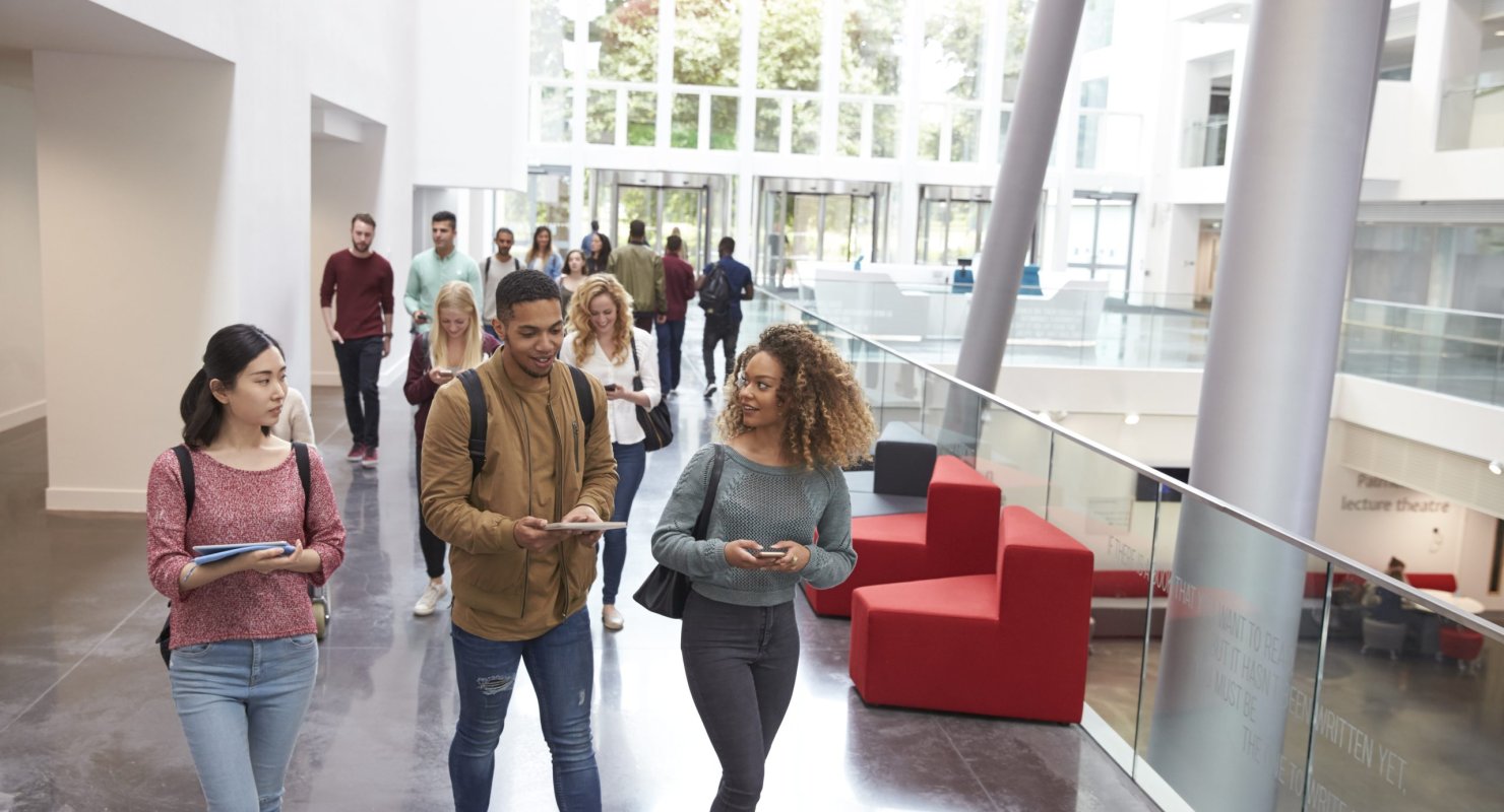 Quelles études faire pour travailler dans les relations internationales ?
