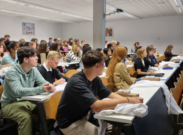 Msc science politique